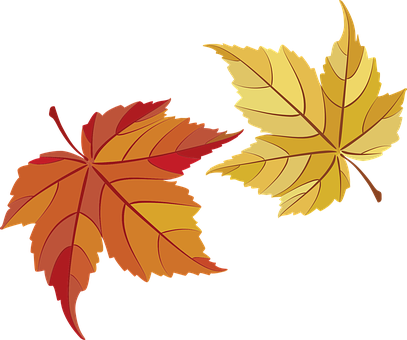 maple-leaves-482678__340.webp.png