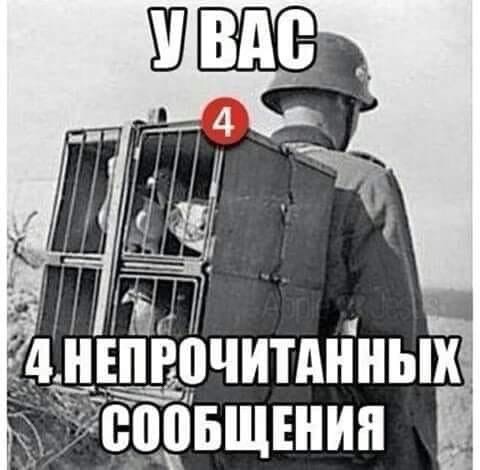 Oaepu-Ikp2-VE.jpg.jpeg