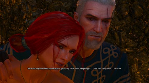 witcher3_2015_05_24_18_56_13_98_500.jpg.jpeg