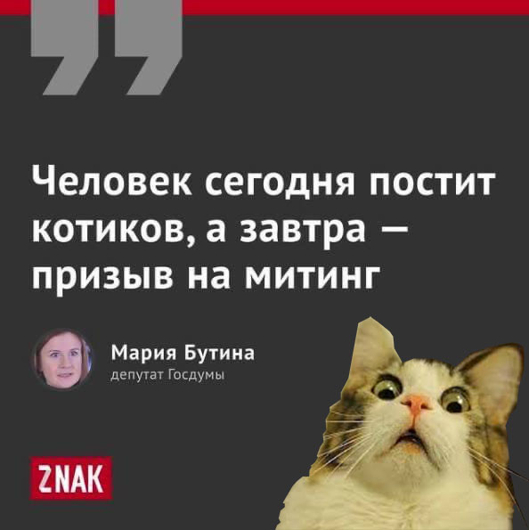 %D0%BF%D0%BE%D0%BB%D0%B8%D1%82%D0%B8%D0%BA%D0%B0-%D0%BA%D0%BE%D1%82%D0%B8%D0%BA-%D0%BC%D0%B8%D1%82%D0%B8%D0%BD%D0%B3%D0%B8-%D0%B.jpeg