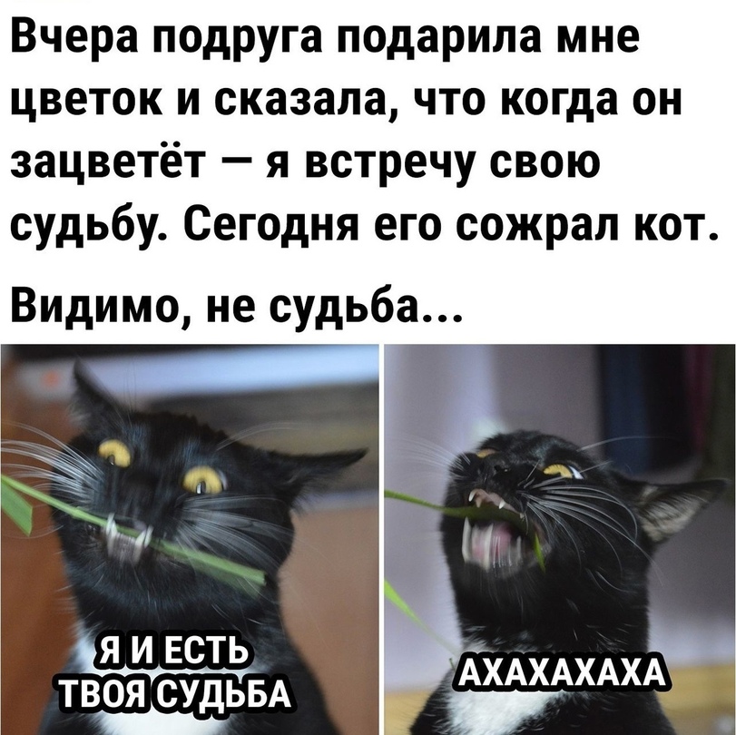 %D0%B8%D0%BD%D1%82%D0%B5%D1%80%D0%BD%D0%B5%D1%82-%D0%BA%D0%B0%D1%80%D1%82%D0%B8%D0%BD%D0%BA%D0%B0-%D1%81-%D1%82%D0%B5%D0%BA%D1%8.jpeg