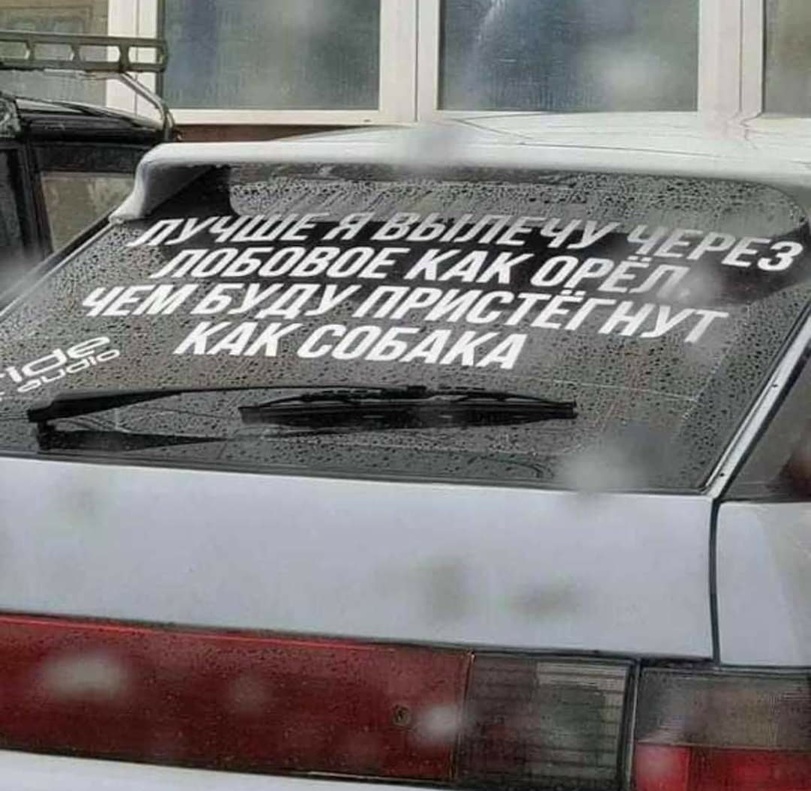 %D0%BE%D1%80%D0%B5%D0%BB-%D0%BF%D1%82%D0%B8%D1%86%D1%8B-%D1%81%D0%BE%D0%B1%D0%B0%D0%BA%D0%B0-%D0%B4%D0%BE%D0%BB%D0%B1%D0%BE%D0%B.jpeg