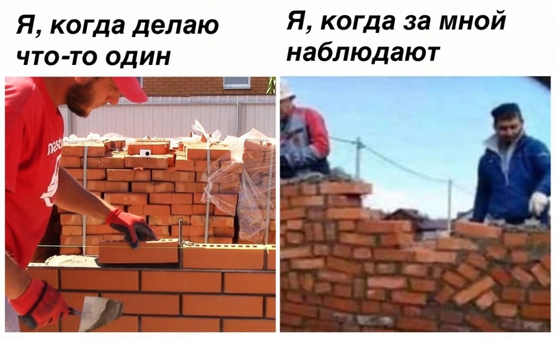 %D0%9F%D1%80%D0%B8%D0%BA%D0%BE%D0%BB%D1%8B-%D0%B4%D0%BB%D1%8F-%D0%B4%D0%B0%D1%83%D0%BD%D0%BE%D0%B2-%D1%80%D0%B0%D0%B7%D0%BD%D0%B.jpeg