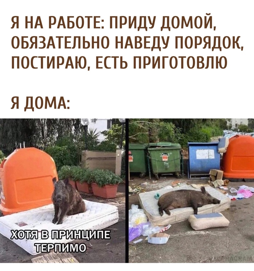 %D0%9F%D1%80%D0%B8%D0%BA%D0%BE%D0%BB%D1%8B-%D0%B4%D0%BB%D1%8F-%D0%B4%D0%B0%D1%83%D0%BD%D0%BE%D0%B2-%D1%80%D0%B0%D0%B7%D0%BD%D0%B.jpeg