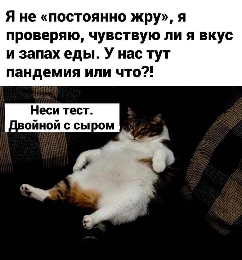 %D0%B8%D0%BD%D1%82%D0%B5%D1%80%D0%BD%D0%B5%D1%82-%D0%BA%D0%B0%D1%80%D1%82%D0%B8%D0%BD%D0%BA%D0%B8-%D0%BA%D0%BE%D1%82%D1%8D-%D0%B.jpeg