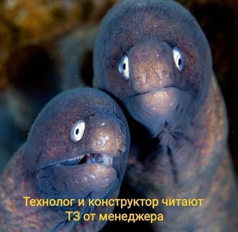 %D0%9F%D1%80%D0%B8%D0%BA%D0%BE%D0%BB%D1%8B-%D0%B4%D0%BB%D1%8F-%D0%B4%D0%B0%D1%83%D0%BD%D0%BE%D0%B2-%D1%80%D0%B0%D0%B7%D0%BD%D0%B.png