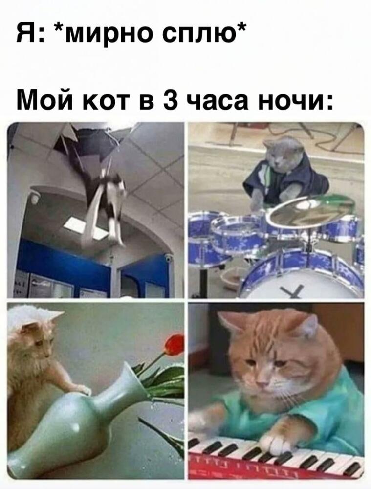 %D0%9F%D1%80%D0%B8%D0%BA%D0%BE%D0%BB%D1%8B-%D0%B4%D0%BB%D1%8F-%D0%B4%D0%B0%D1%83%D0%BD%D0%BE%D0%B2-%D1%80%D0%B0%D0%B7%D0%BD%D0%B.jpeg
