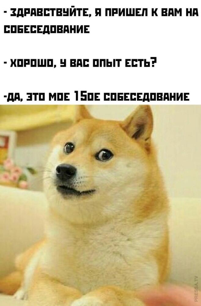 %D0%B8%D0%BD%D1%82%D0%B5%D1%80%D0%BD%D0%B5%D1%82-%D0%BA%D0%B0%D1%80%D1%82%D0%B8%D0%BD%D0%BA%D0%B0-%D1%81-%D1%82%D0%B5%D0%BA%D1%8.jpeg