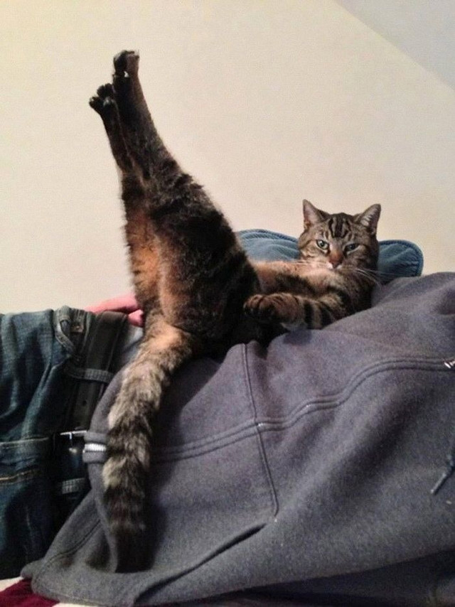 1.jpg.jpeg