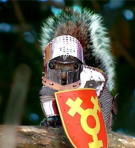 1263908923_1263421921_armored-animal-14.jpg.jpeg