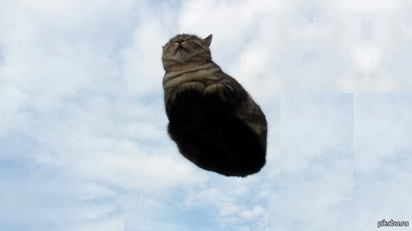 1417287289_2097021034.png.webp.png