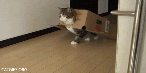 56eacd36009a99c602ff66e8.gif