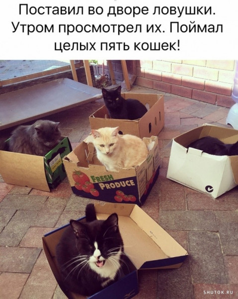 6b40554d215249f841d7adc6341a85ad.jpg.jpeg