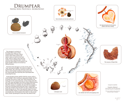 DrumpearFullsmall.png.png