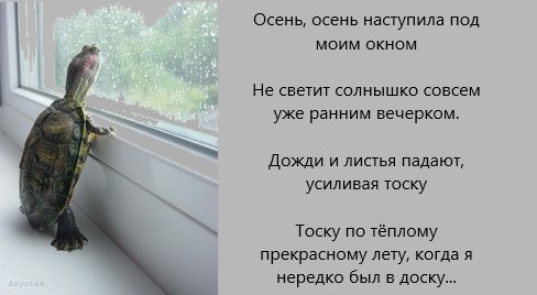 e3c48d76e3c5e77a1133e911d0fba942.jpg.jpeg