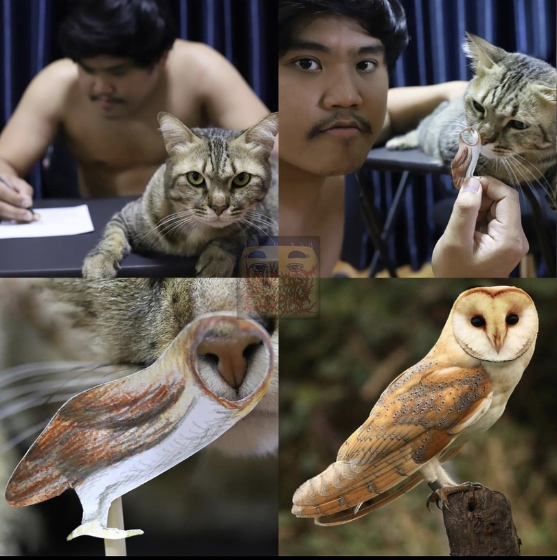 lowcost-cosplay-%D0%BA%D0%BE%D1%82-%D0%A1%D0%BE%D0%B2%D0%B0-%D0%BF%D1%82%D0%B8%D1%86%D1%8B-6974822.jpeg