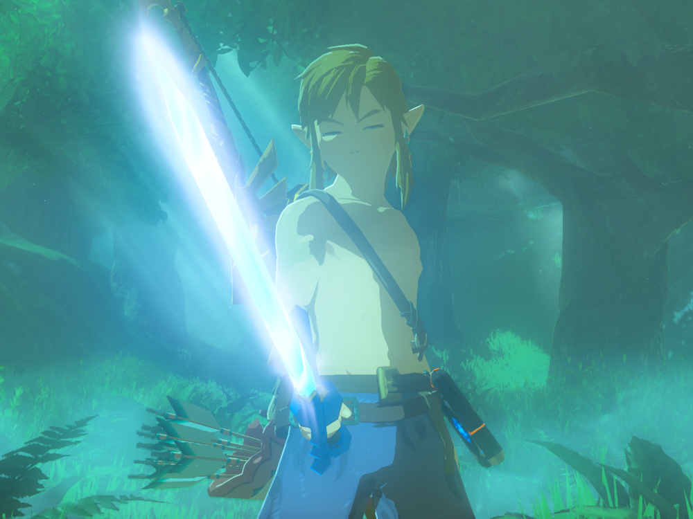 LOZ-BOTW5.png