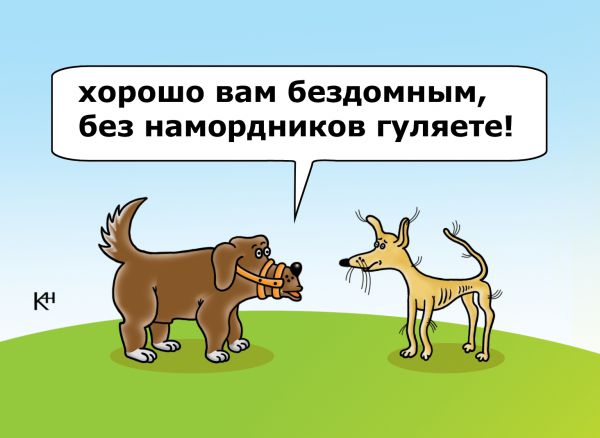 nedovolnyj-pes.jpg.jpeg