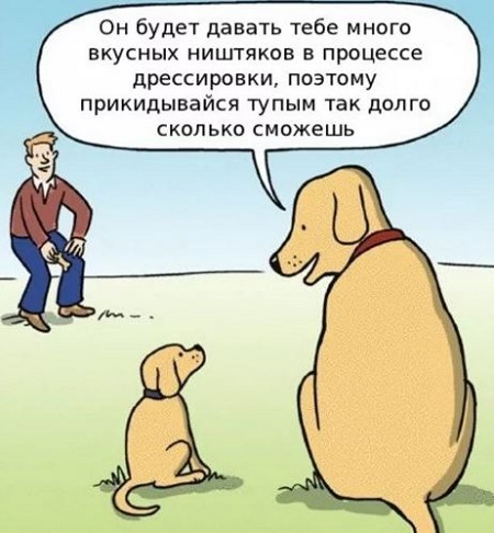 novyj-anekdot-pro-sobak-i-hozjaev-asm.jpg.jpeg