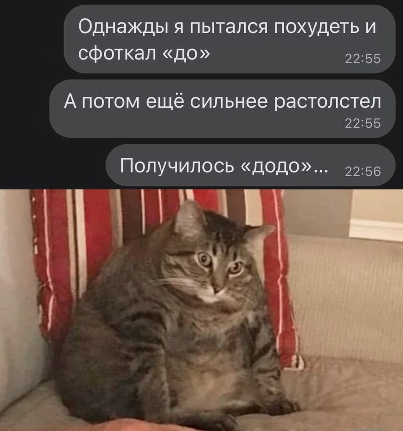 %D0%BF%D0%BE%D1%85%D1%83%D0%B4%D0%B5%D0%BD%D0%B8%D0%B5-%D1%81%D1%82%D0%B0%D1%80%D0%B0%D0%BD%D0%B8%D1%8F-%D0%BF%D0%BE%D1%87%D1%82.jpeg