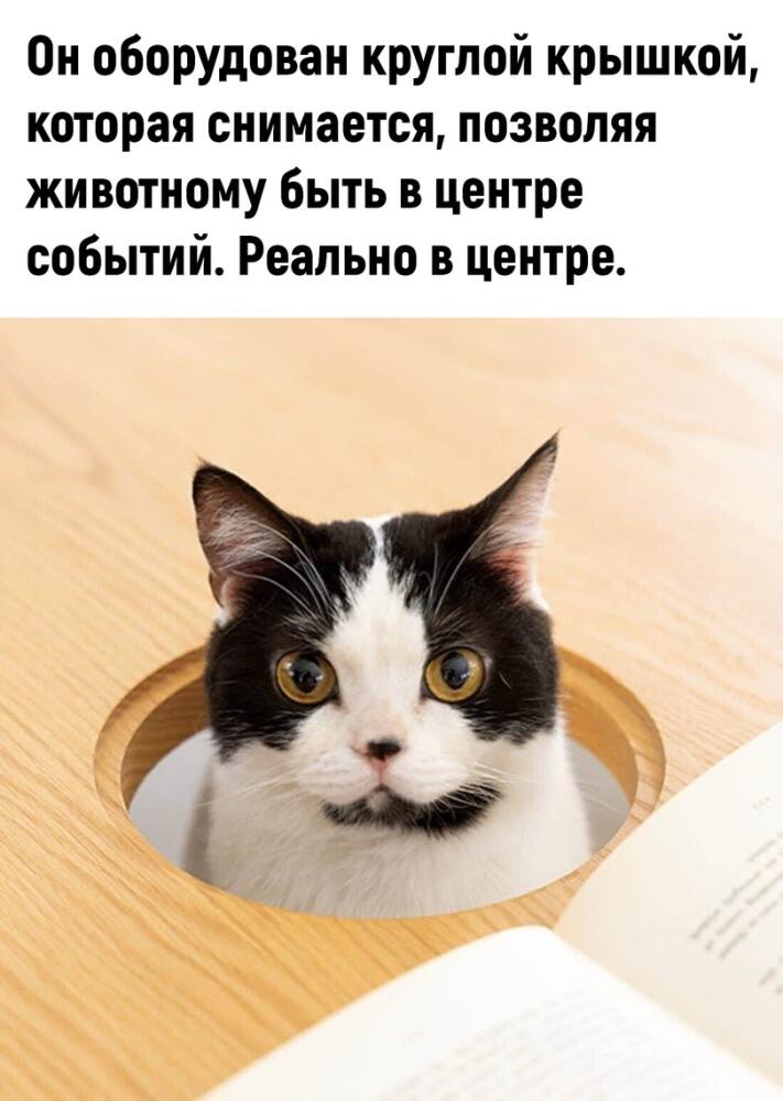 %D1%81%D1%82%D0%BE%D0%BB-%D0%B4%D0%BB%D1%8F-%D0%BA%D0%BE%D1%82%D1%8D-%D0%AF%D0%BF%D0%BE%D0%BD%D0%B8%D1%8F-6872947.jpeg