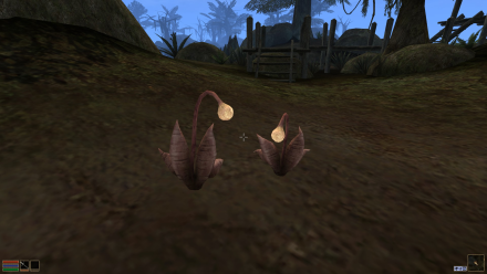 YamOrbs_Screenshot_02.png.png