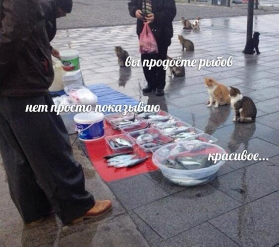 1.jpg.jpeg