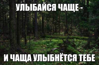 113626685_s73419852.jpg.jpeg