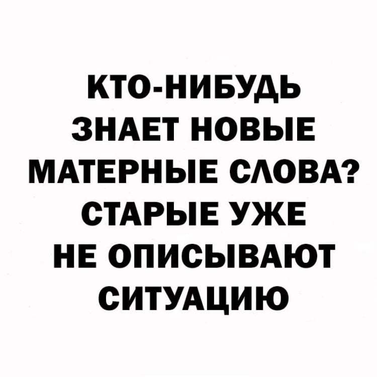 254335114_4510099449070226_8897924085440428706_n.jpg.jpeg