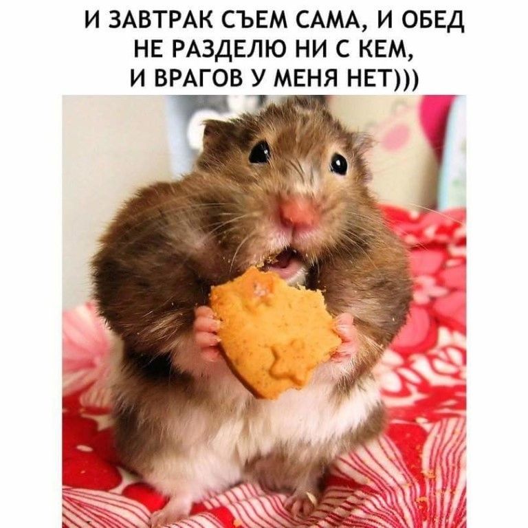 2f0d96c609ad1a5ceee3acae878b1e41.jpg.jpeg