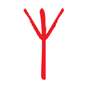 3228891.gif