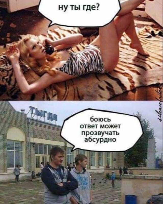 36712912.jpg.jpeg