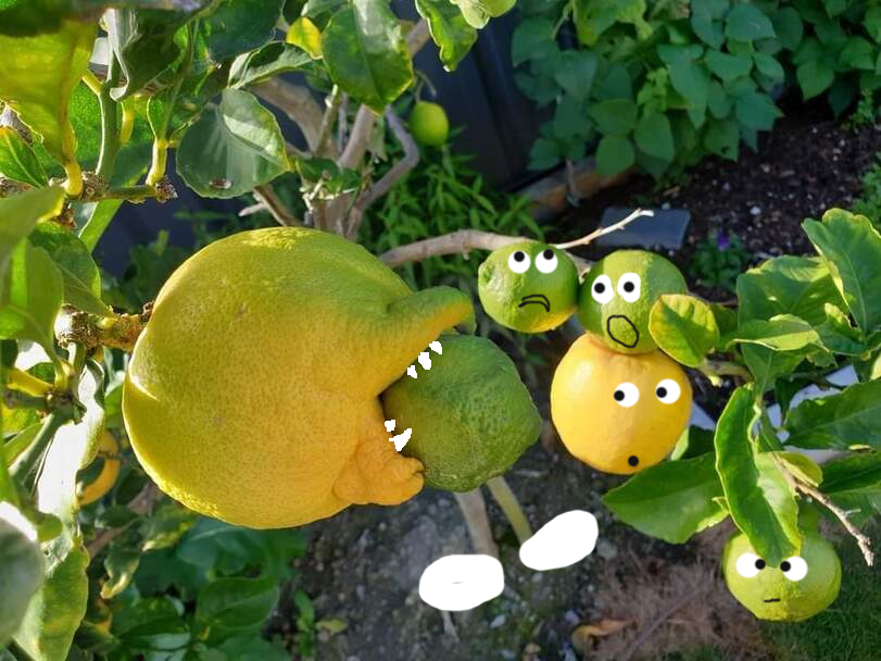 377db7c2105afc57cfe74f781da2c322.jpg.jpeg