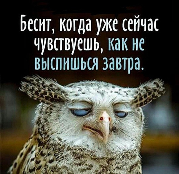 436c8f8855e956f603e12b89ff7398b0.jpg.jpeg