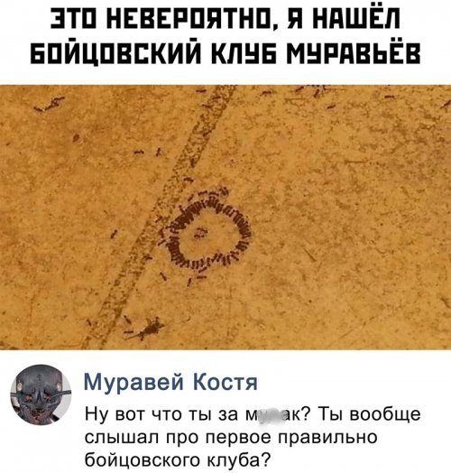 8bf62d7c80c0ceb8057f92b70f12d503.jpg.jpeg