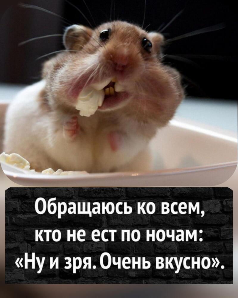 cf23dfb34ddbf2795ad254af1022a741.jpg.jpeg