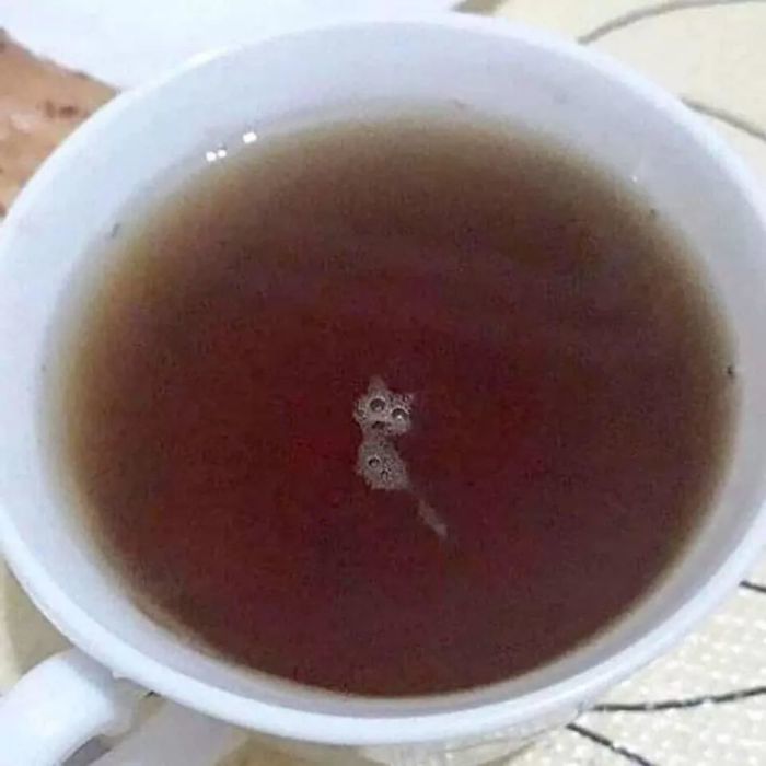 %D1%87%D0%B0%D0%B9-5770725.jpg.jpeg