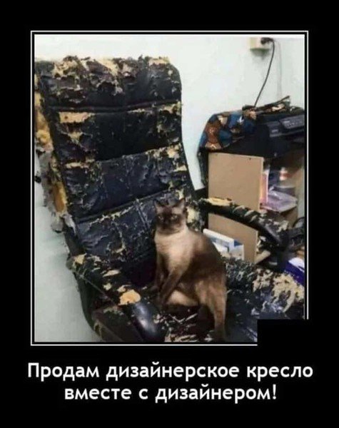 FB_IMG_1634931355000-7952428b-club.jpg.jpeg