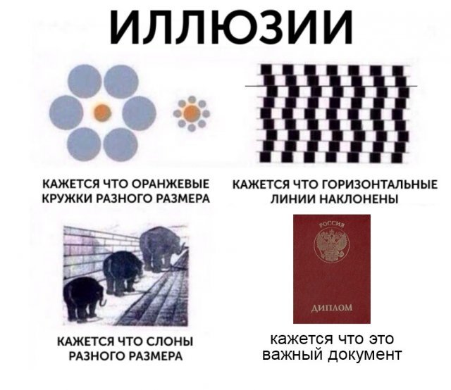 intellektualnyy-yumor-25-foto_1.jpg.jpeg