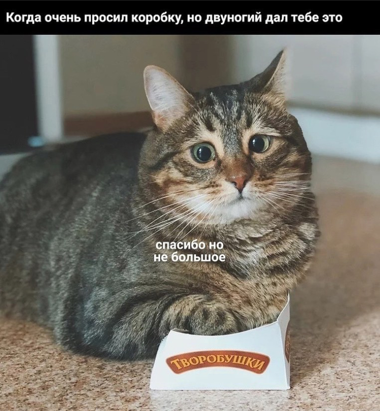 jpg.jpeg