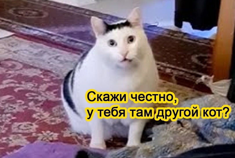 jpg.jpeg