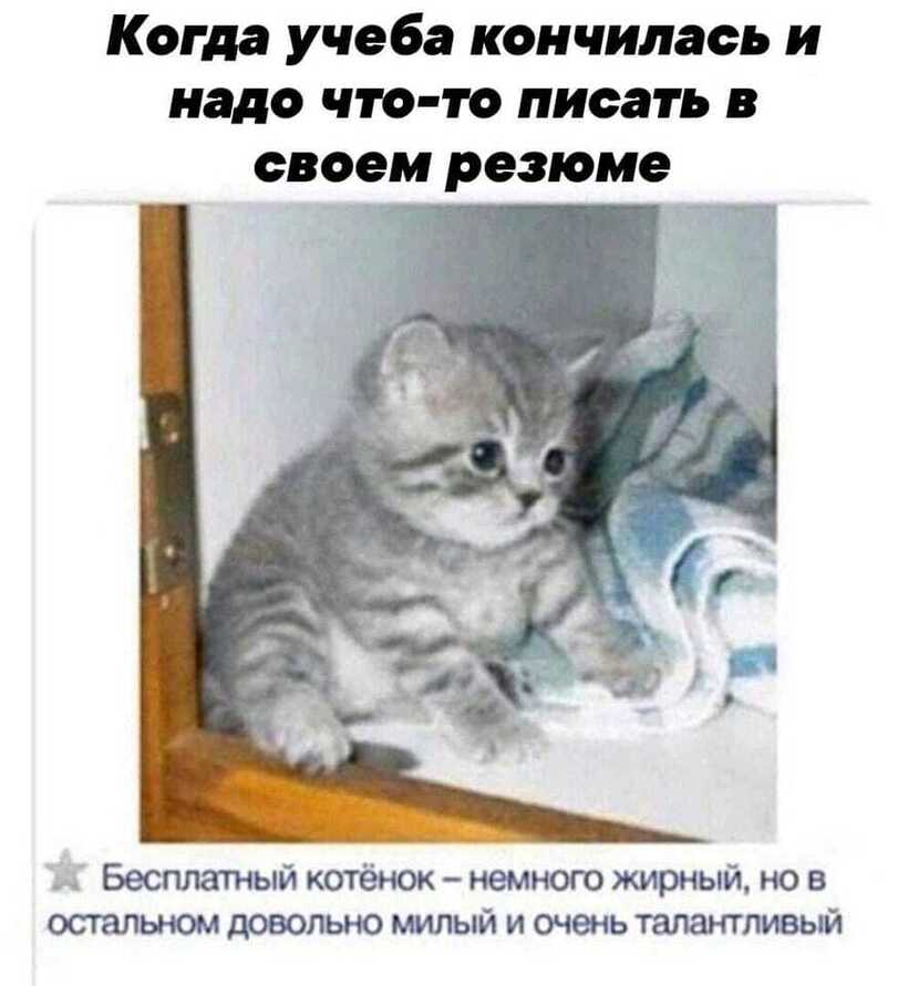 jpg.jpeg