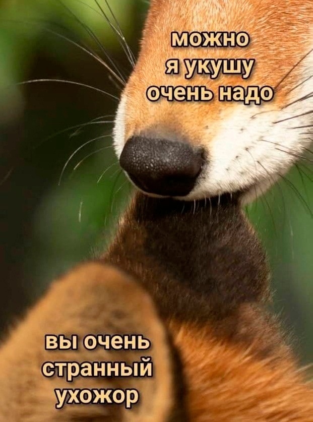 jpg.jpeg