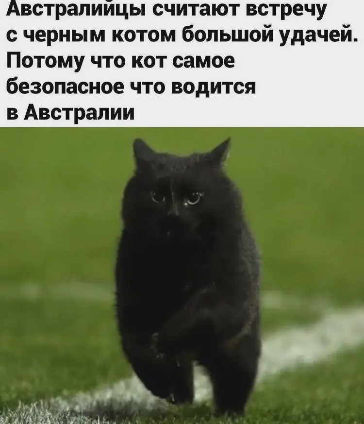 jpg.jpeg