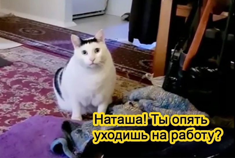 jpg.jpeg