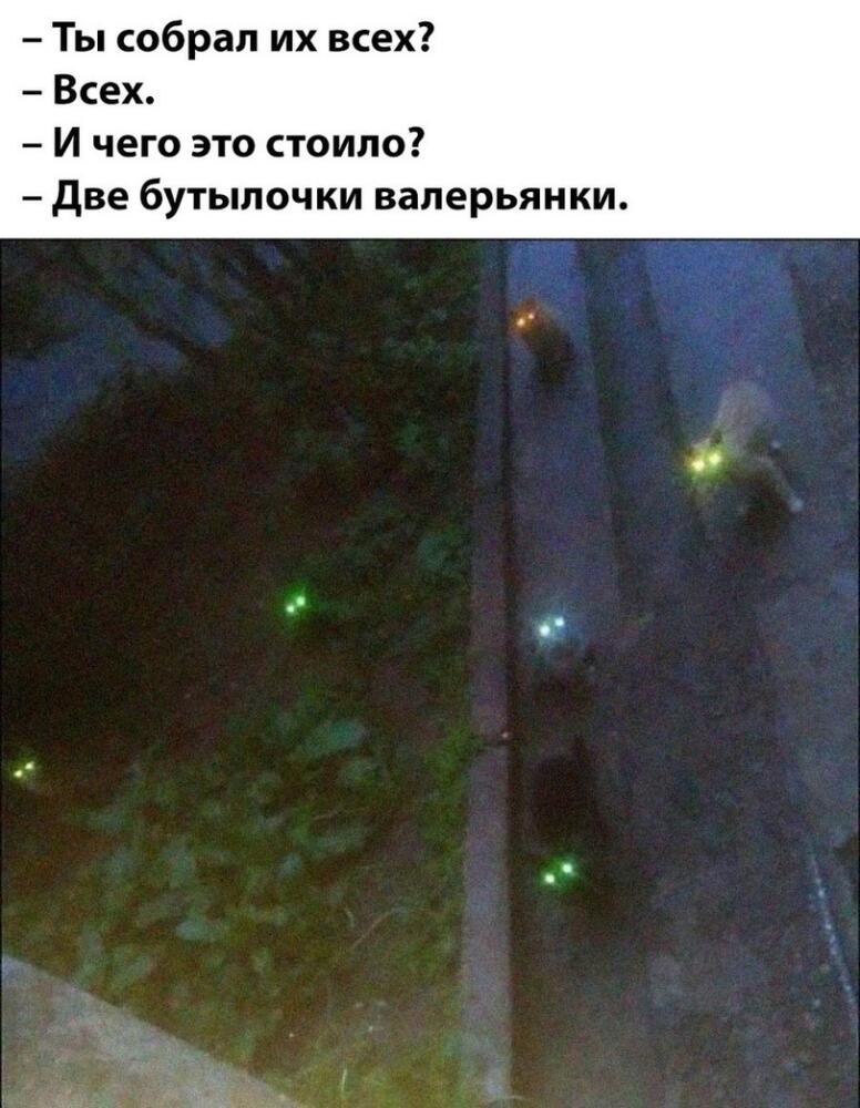 jpg.jpeg