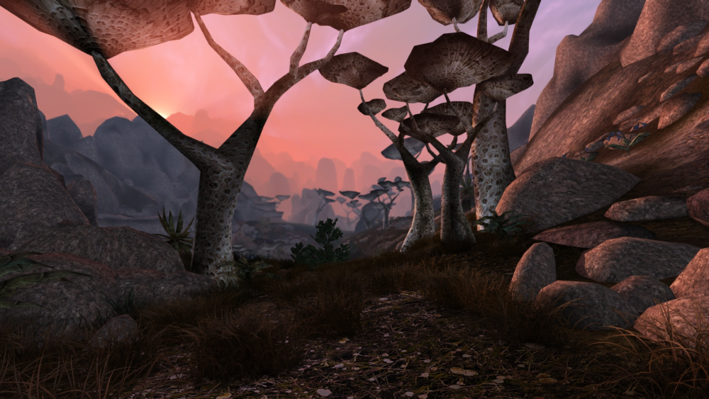 Morrowind_2019-12-23_11.png
