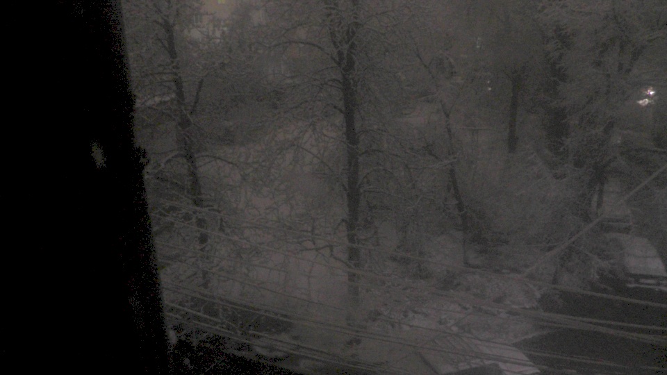 S4880006.jpg