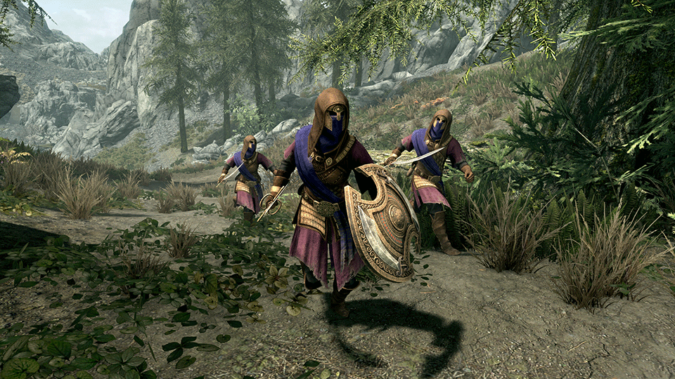 SKY10_Redguard_in-body.png