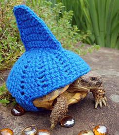 turtleDress1.jpg.jpeg